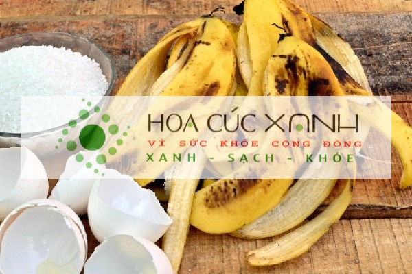 Cách ủ chuối làm phân bón kali bón và phun cho cây trồng - Công Nghệ Xanh Việt Nam