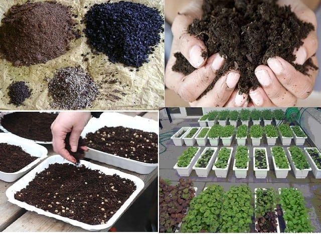 Cách trộn đất để trồng rau sạch