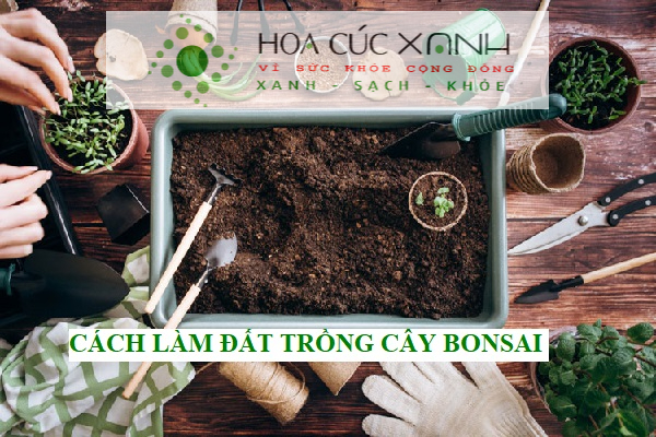 Cách làm đất trồng cây bonsai