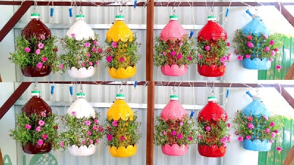 Mẹo và lưu ý khi trồng hoa trong chai nhựa