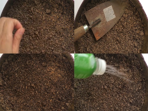 Chuẩn bị đất và vật dụng ươm hạt