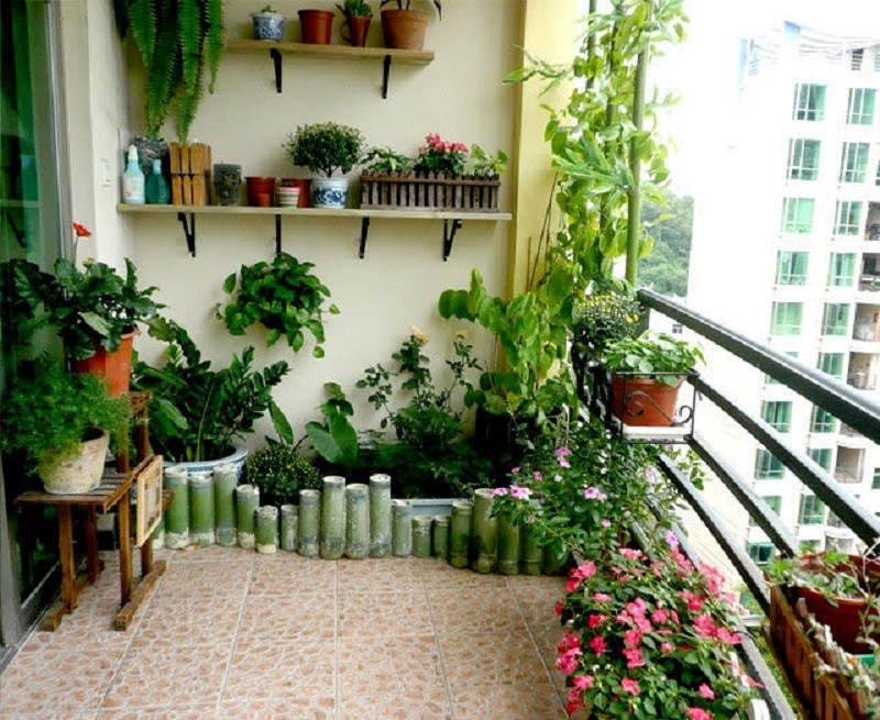 Dịch vụ trồng cây xanh trang trí ban công chung cư